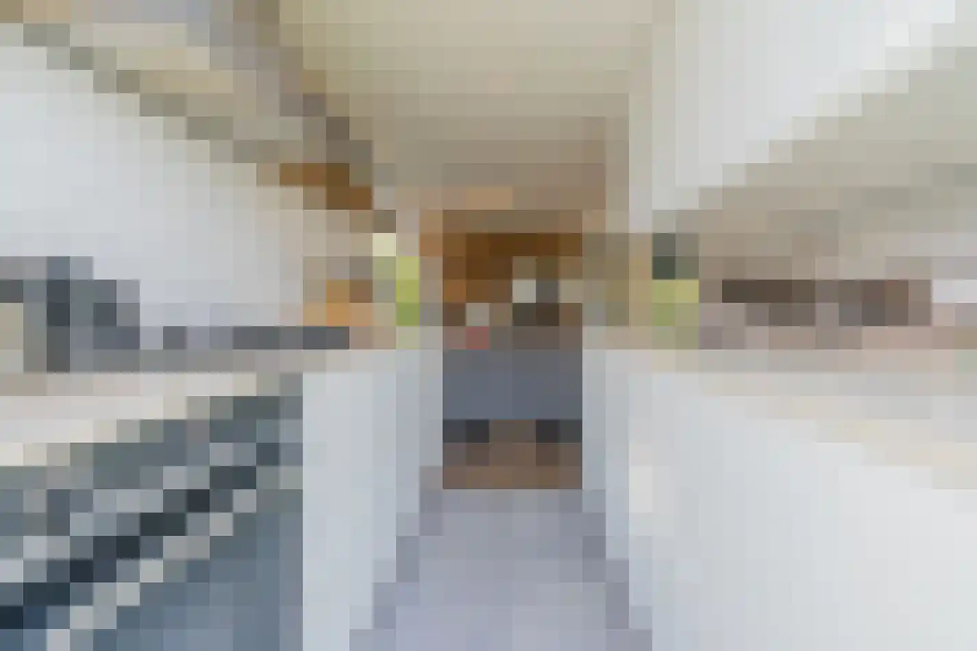 't Ongerepte 14 Renesse thumbnail 7