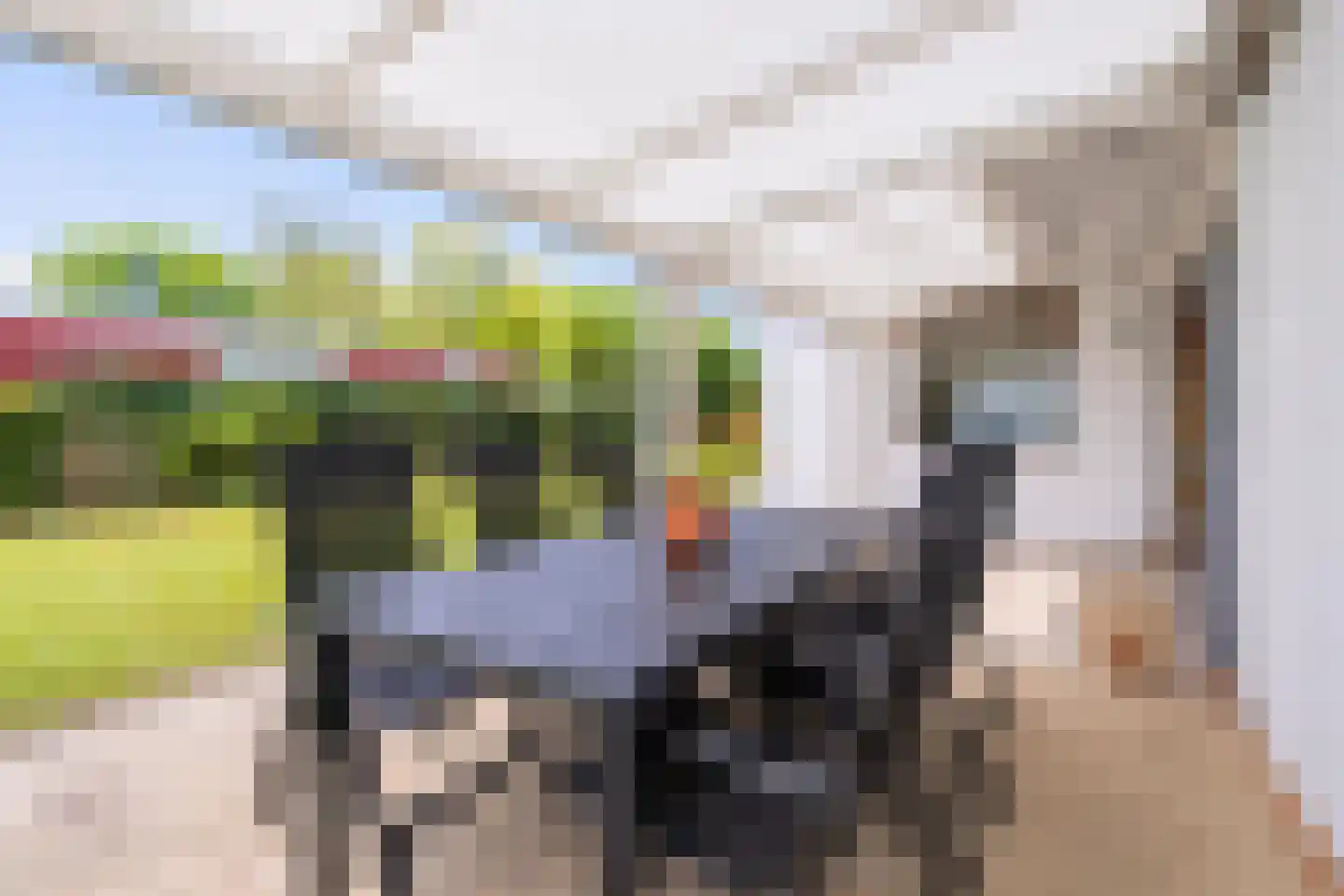 't Ongerepte 54 Renesse thumbnail 11