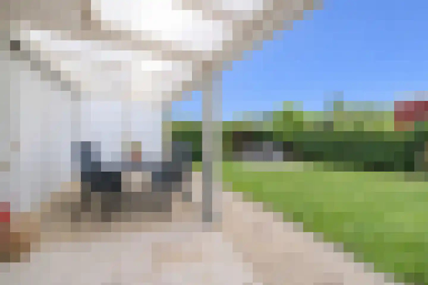 't Ongerepte 54 Renesse thumbnail 12