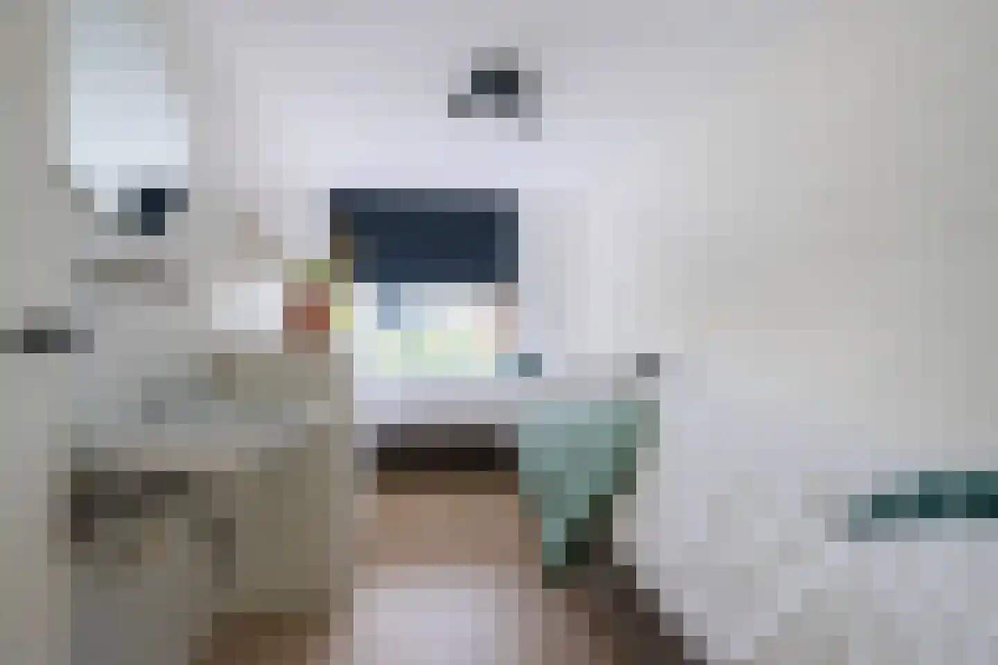 't Ongerepte 54 Renesse thumbnail 8