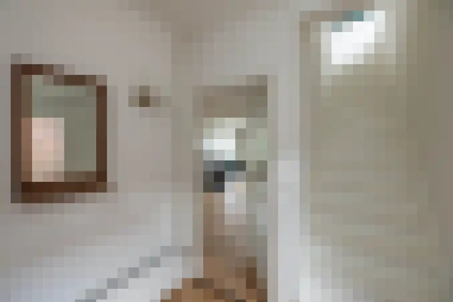 't Onland 12 Hengelo thumbnail 17