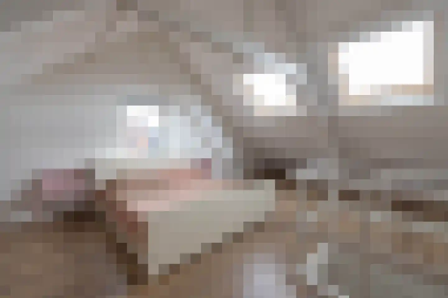 't Onland 12 Hengelo thumbnail 23