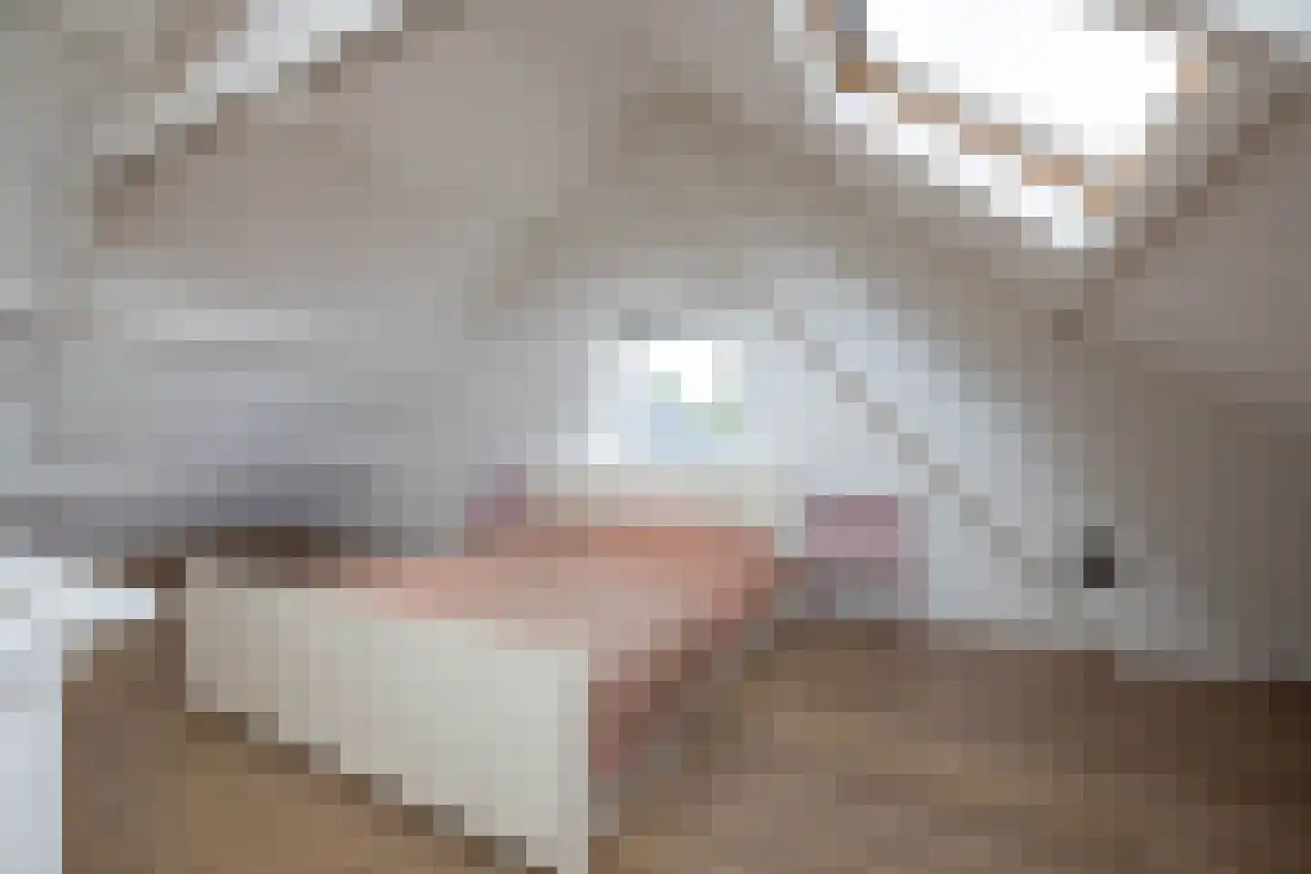't Onland 12 Hengelo thumbnail 24