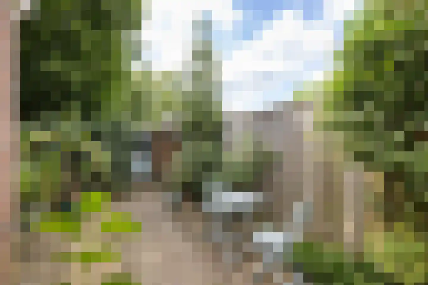 't Onland 12 Hengelo thumbnail 26