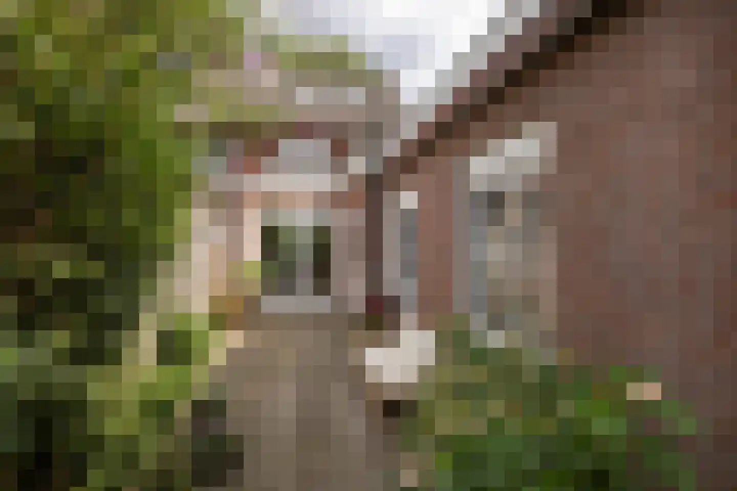 't Onland 12 Hengelo thumbnail 27