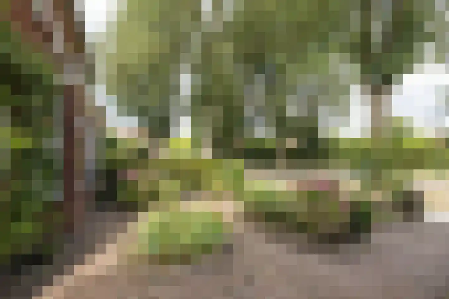 't Onland 12 Hengelo thumbnail 35
