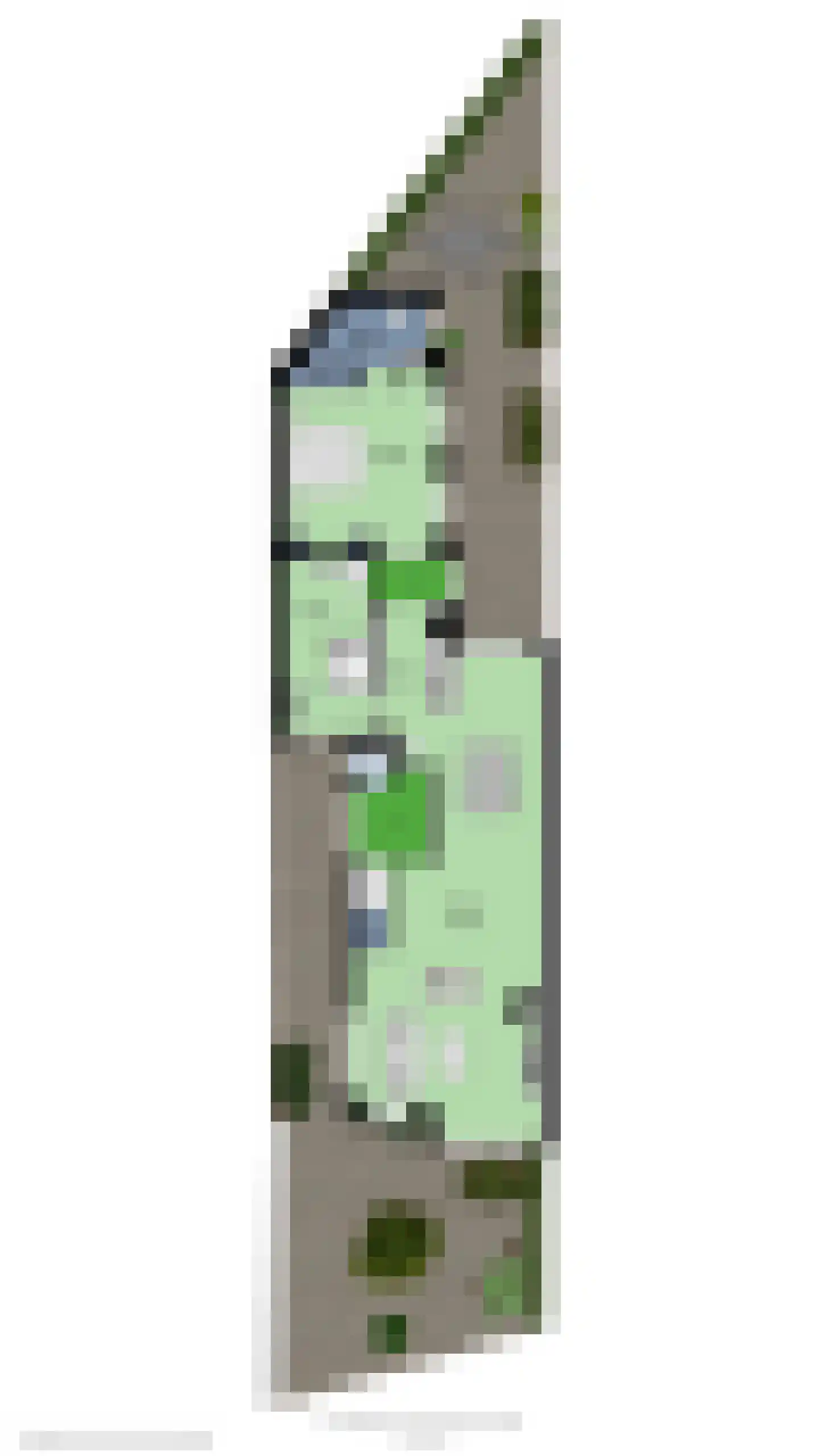 't Onland 12 Hengelo thumbnail 40