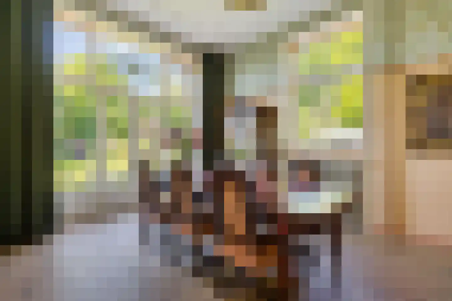 't Oost 1 Oosterwolde thumbnail 17