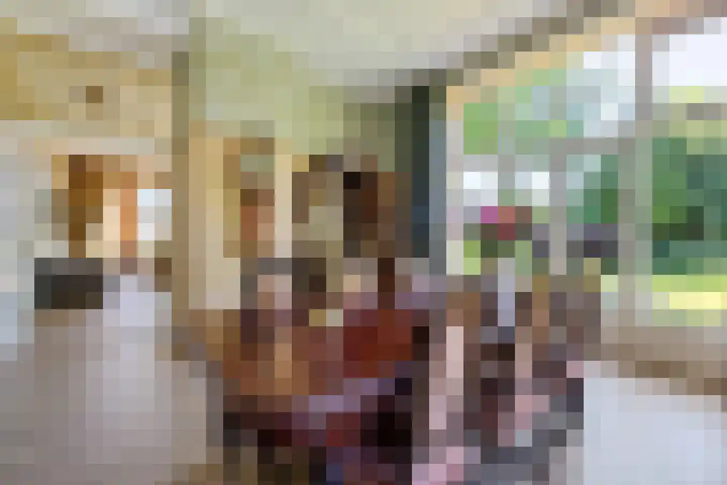 't Oost 1 Oosterwolde thumbnail 18