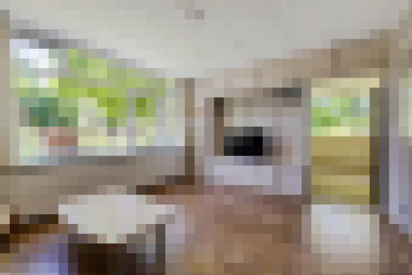 't Oost 1 Oosterwolde thumbnail 34