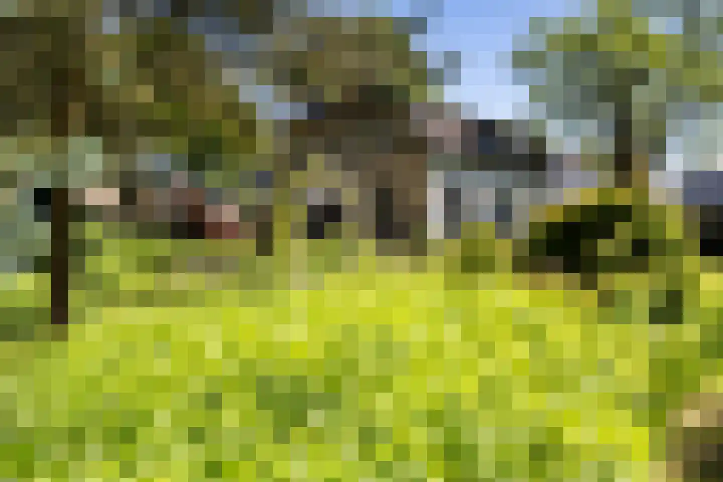 't Oost 1 Oosterwolde thumbnail 4