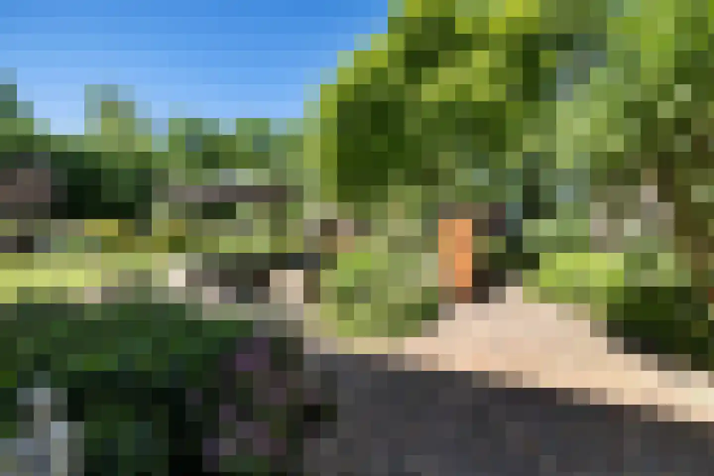 't Oost 1 Oosterwolde thumbnail 51