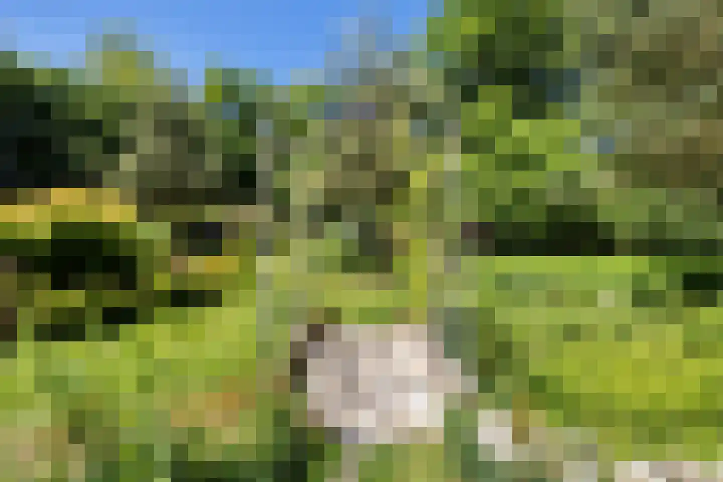 't Oost 1 Oosterwolde thumbnail 58