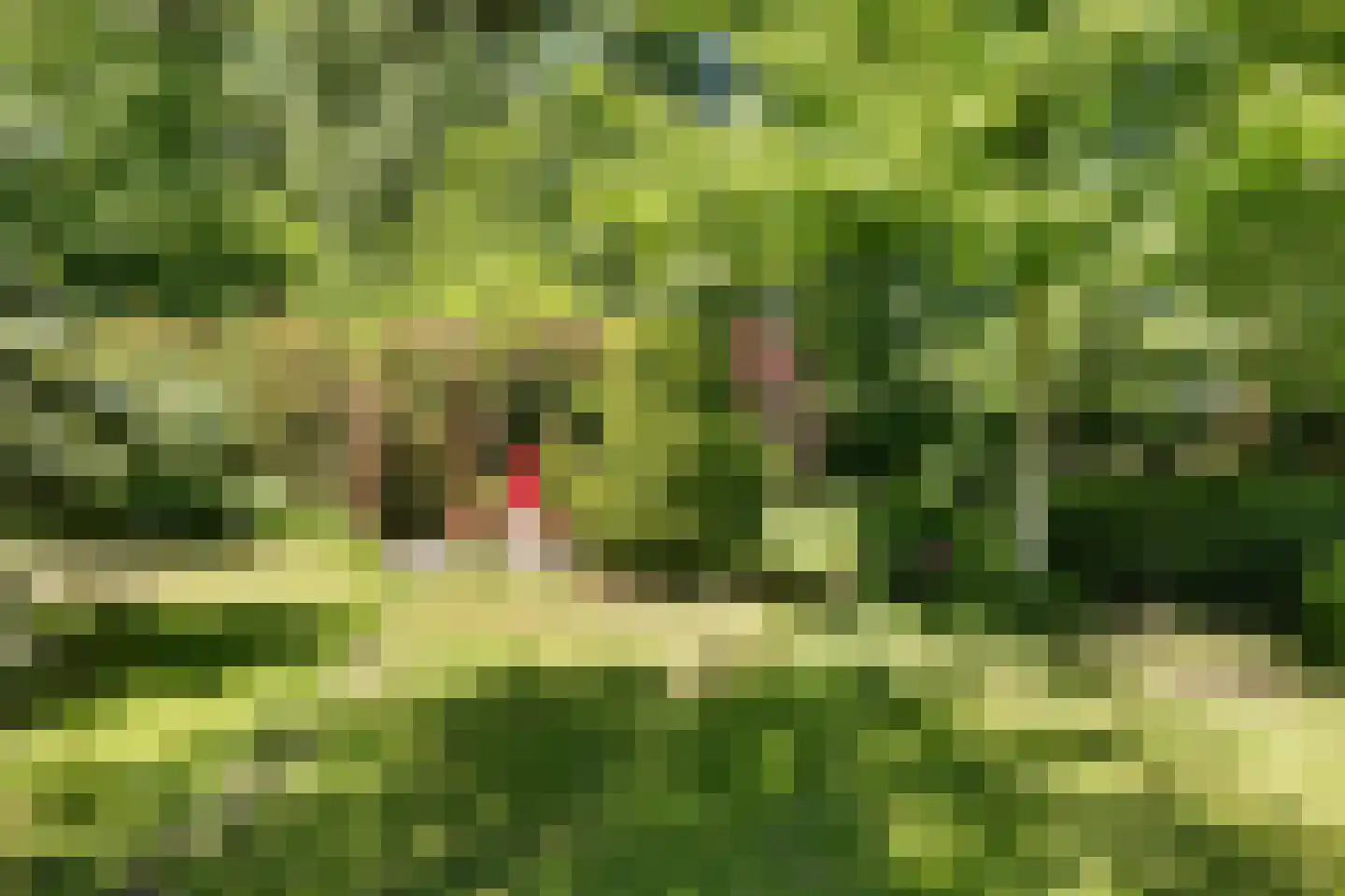 't Oost 1 Oosterwolde thumbnail 59