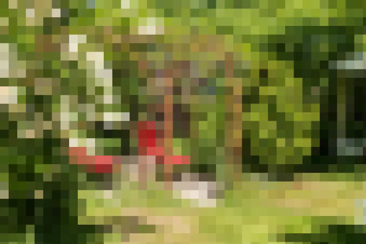 't Oost 1 Oosterwolde thumbnail 60