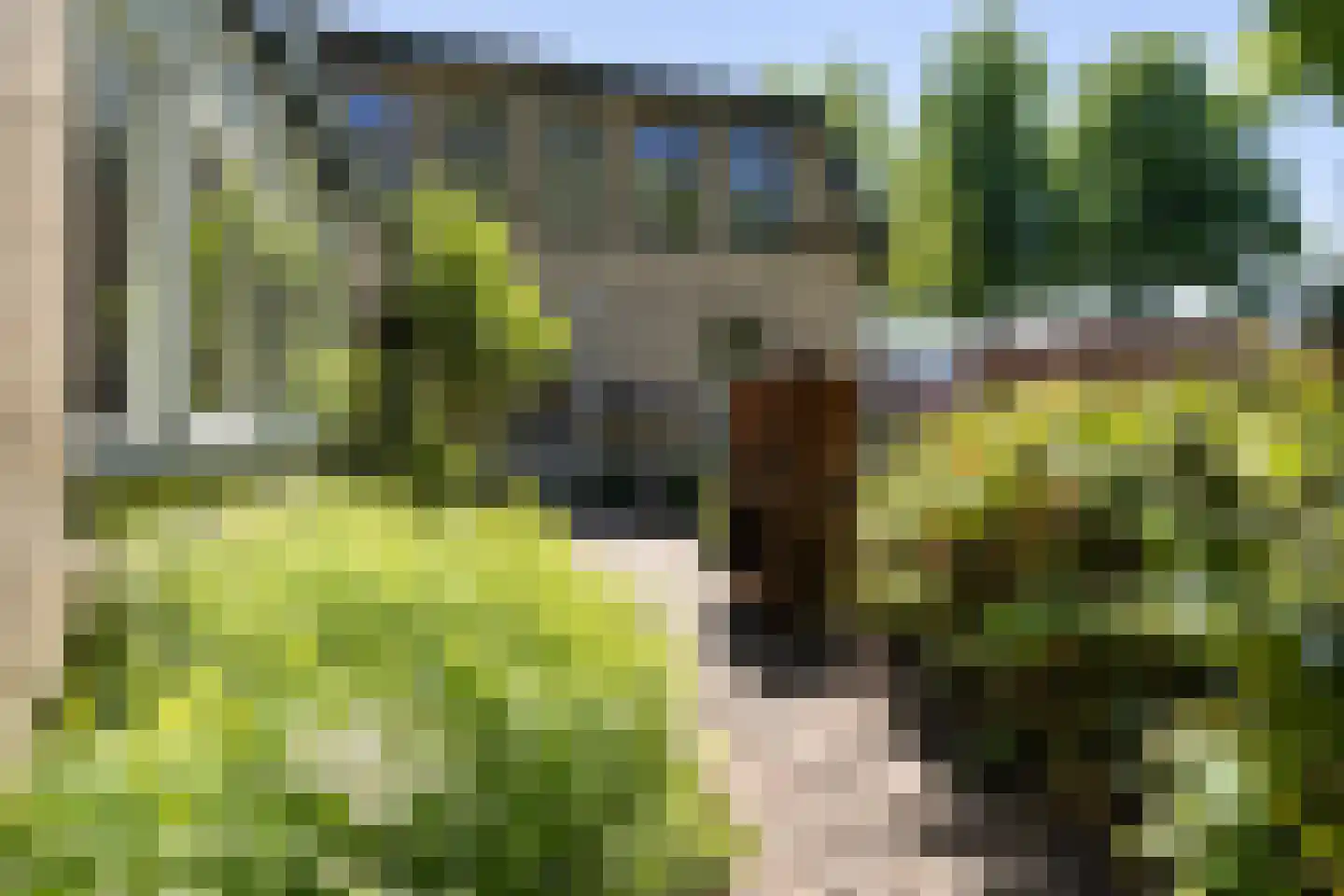 't Oost 1 Oosterwolde thumbnail 61