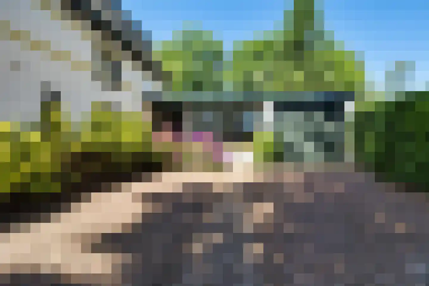 't Oost 1 Oosterwolde thumbnail 63