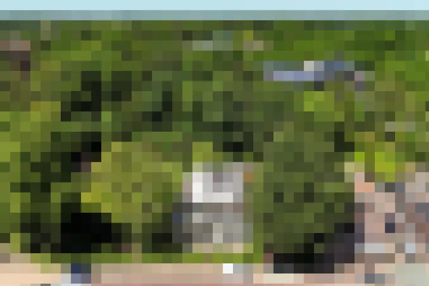 't Oost 1 Oosterwolde thumbnail 64
