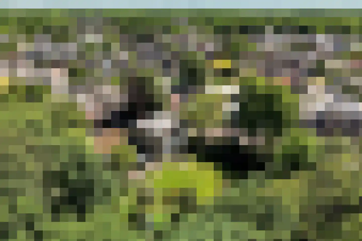 't Oost 1 Oosterwolde thumbnail 65