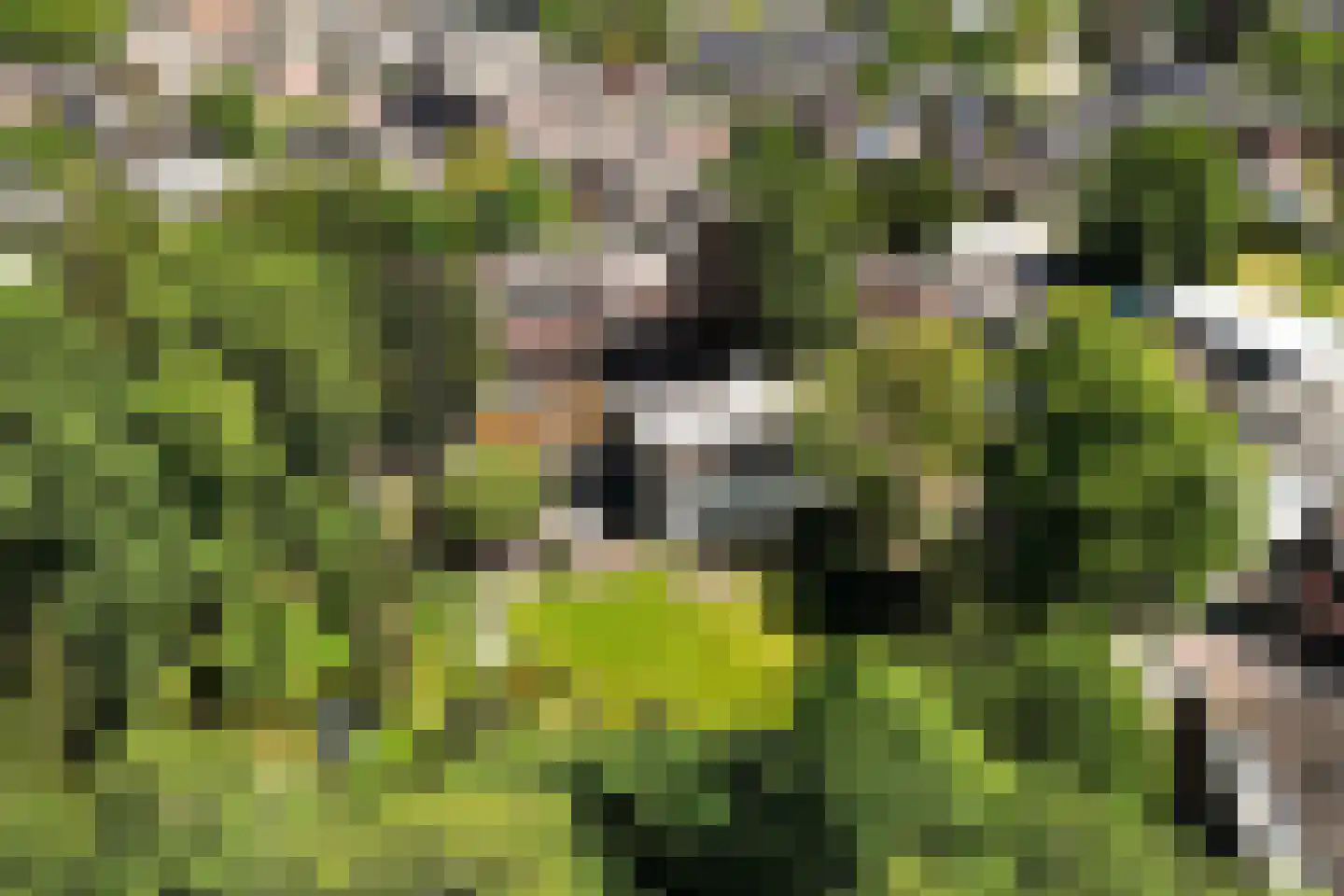 't Oost 1 Oosterwolde thumbnail 66