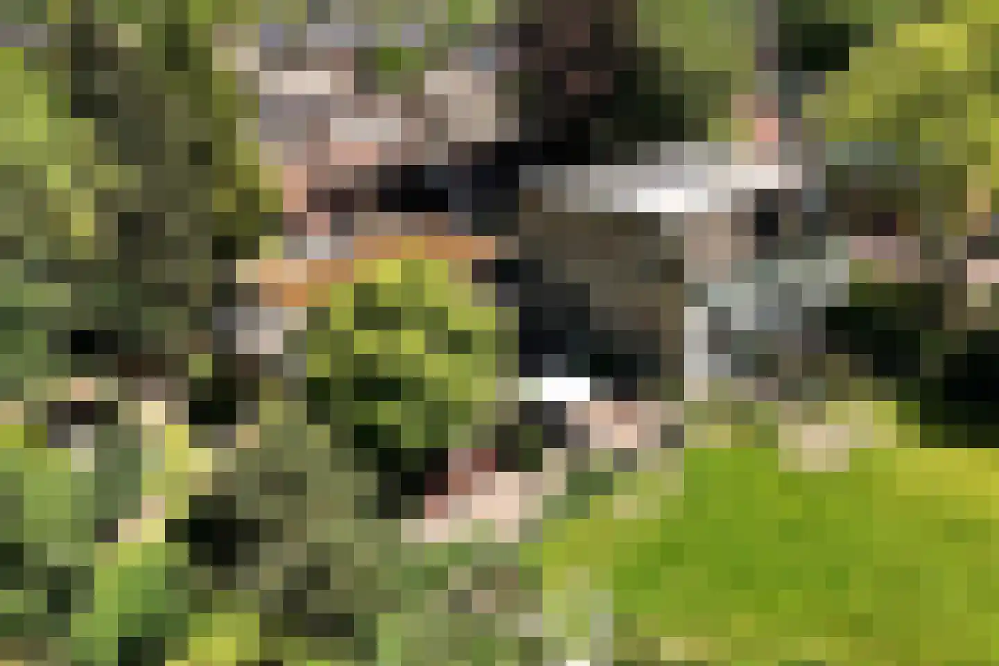 't Oost 1 Oosterwolde thumbnail 67