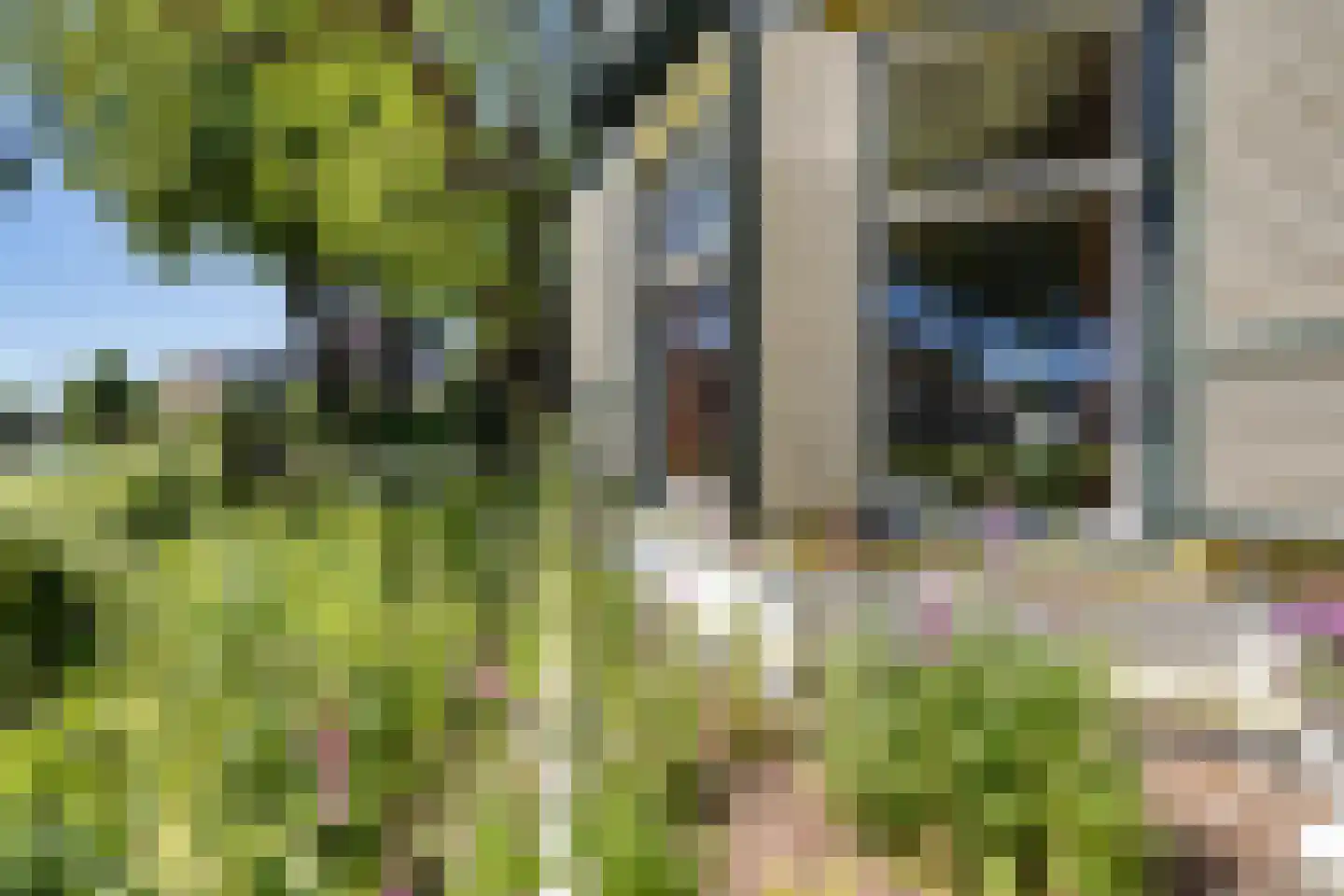 't Oost 1 Oosterwolde thumbnail 69