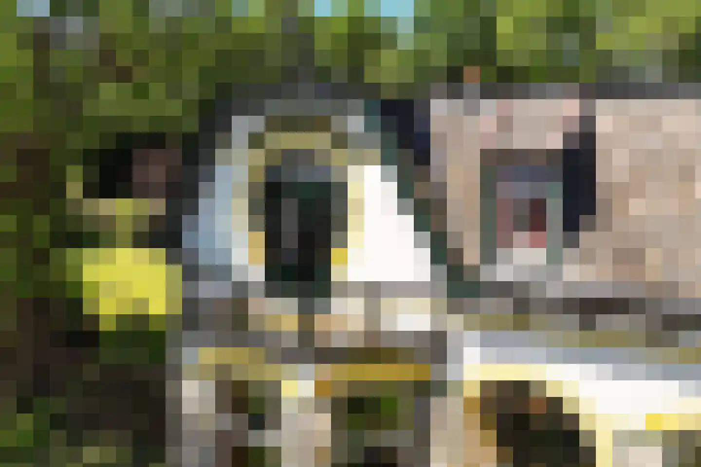 't Oost 1 Oosterwolde thumbnail 7