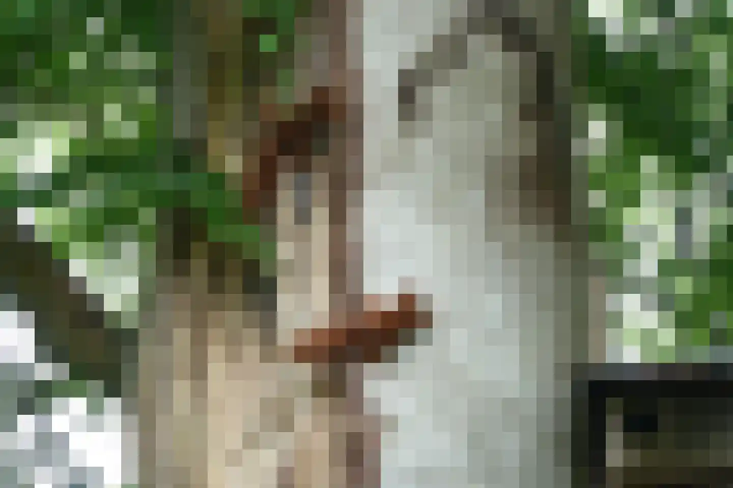 't Oost 1 Oosterwolde thumbnail 75