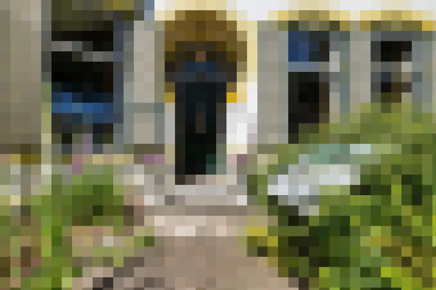't Oost 1 Oosterwolde thumbnail 8