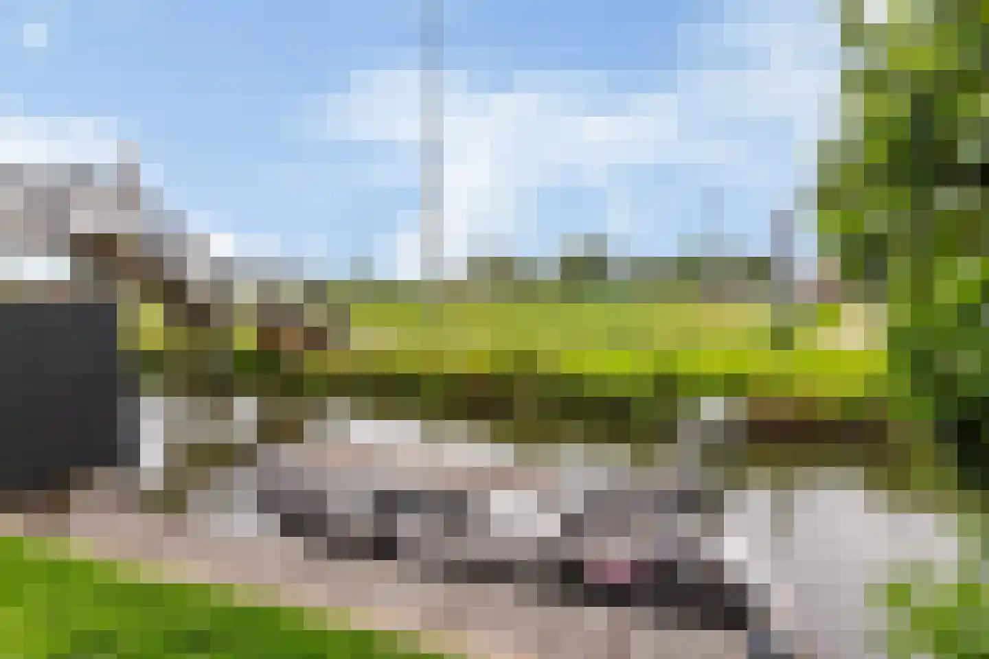 't Oost 22 Hindeloopen thumbnail 15