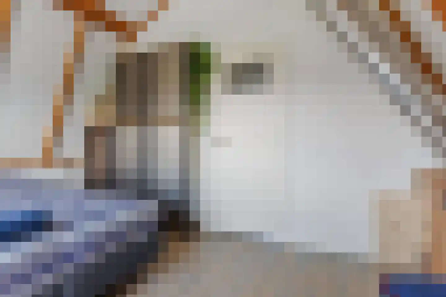't Oost 22 Hindeloopen thumbnail 23