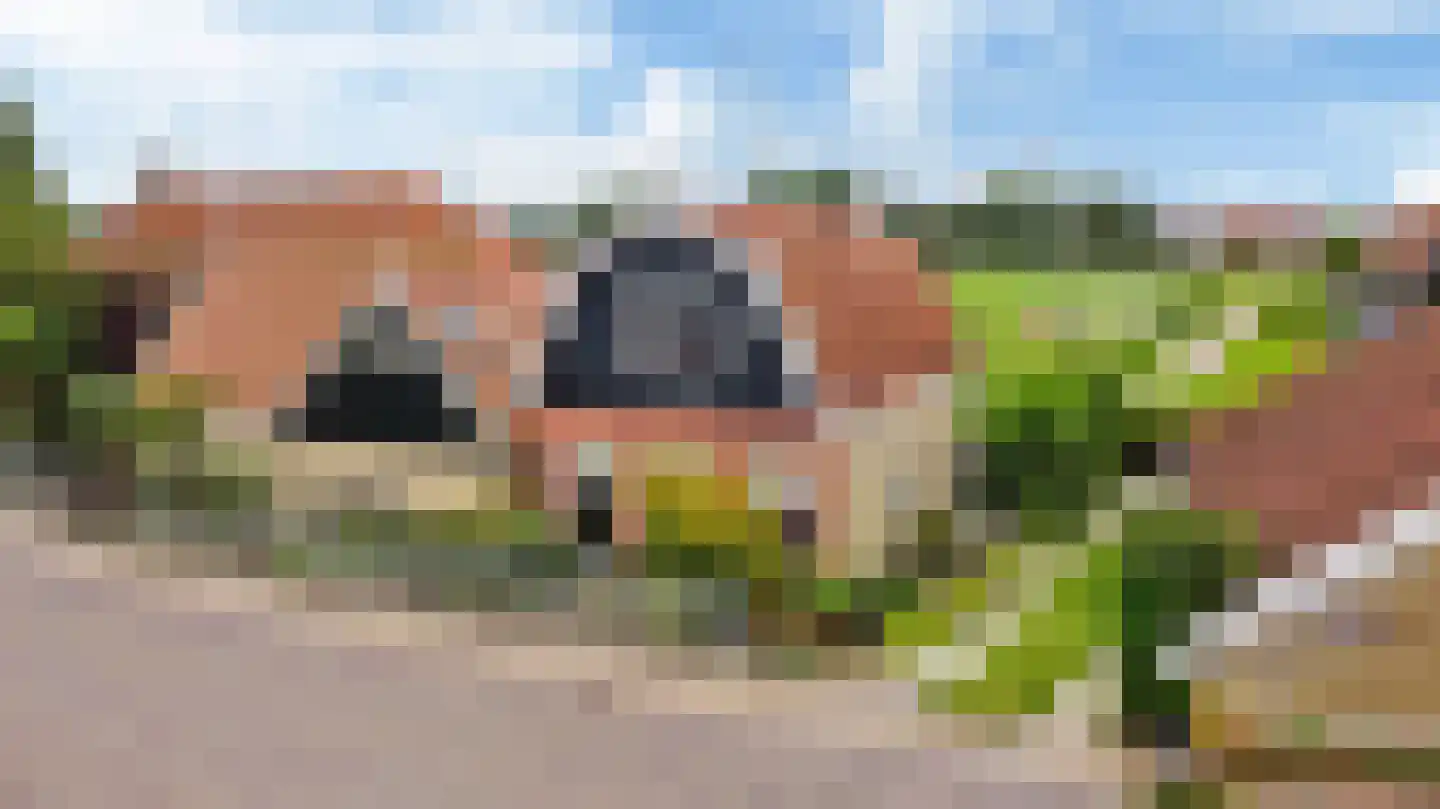 't Oost 22 Hindeloopen foto 3