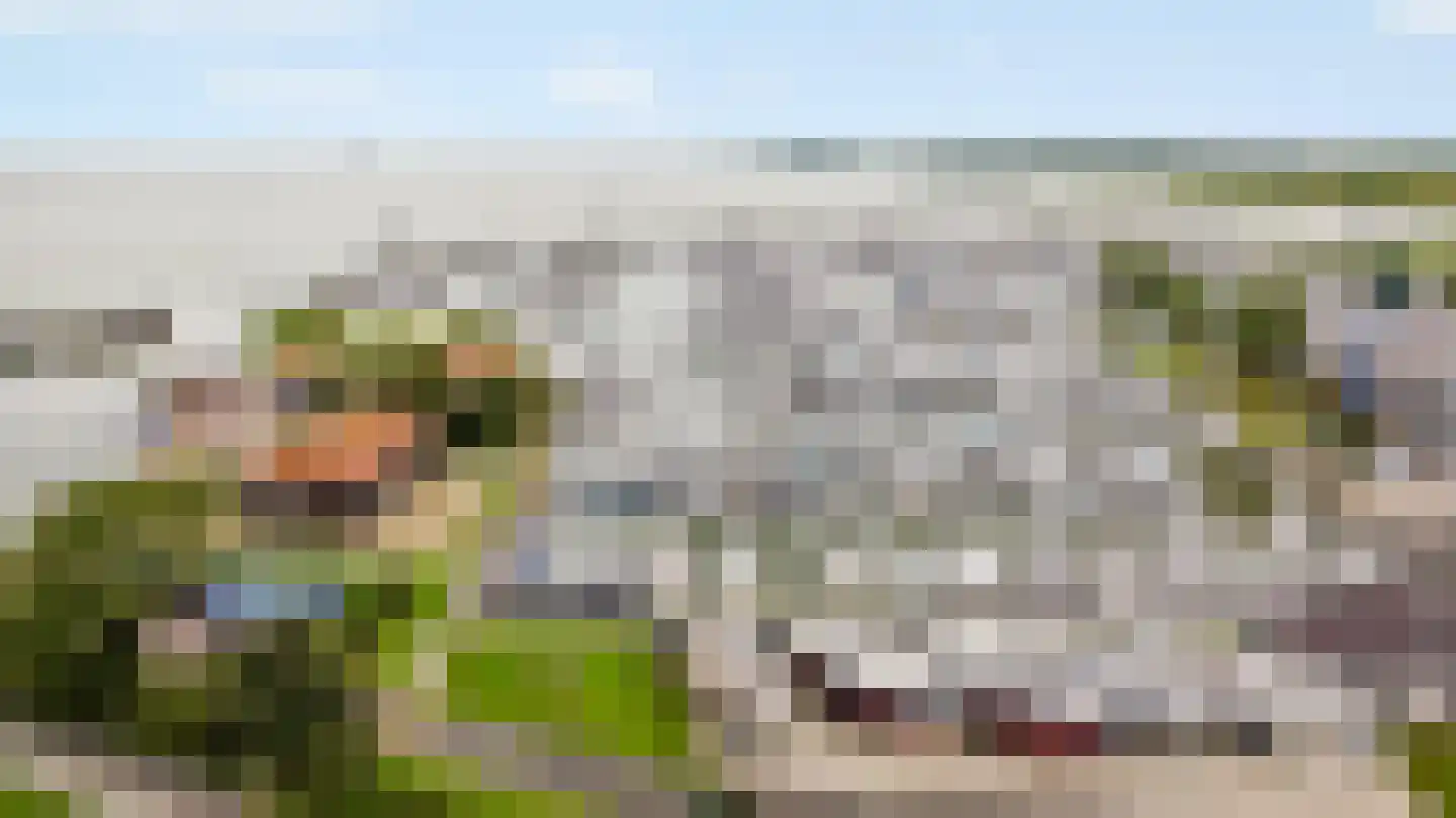 't Oost 22 Hindeloopen thumbnail 37