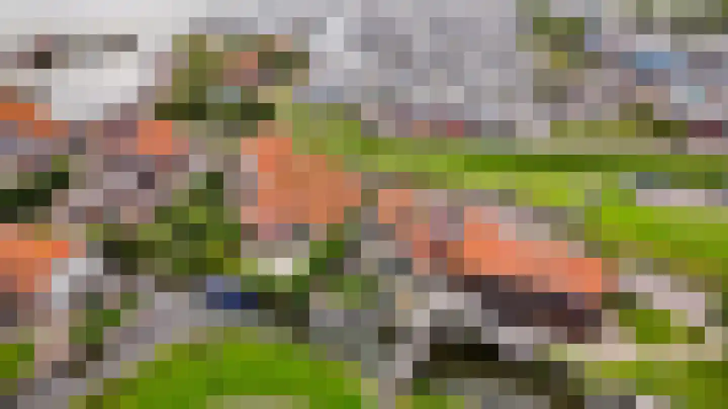 't Oost 22 Hindeloopen thumbnail 39