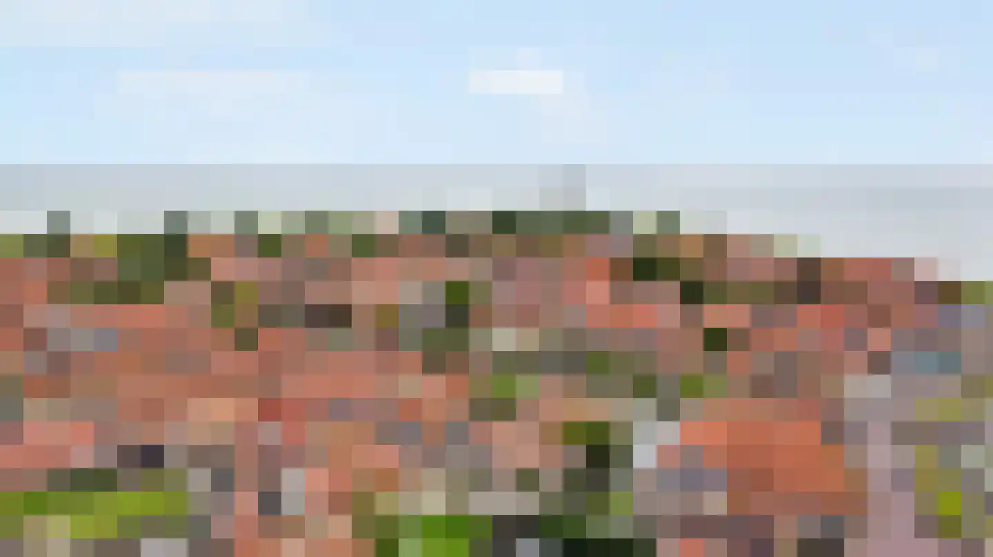 't Oost 22 Hindeloopen thumbnail 40