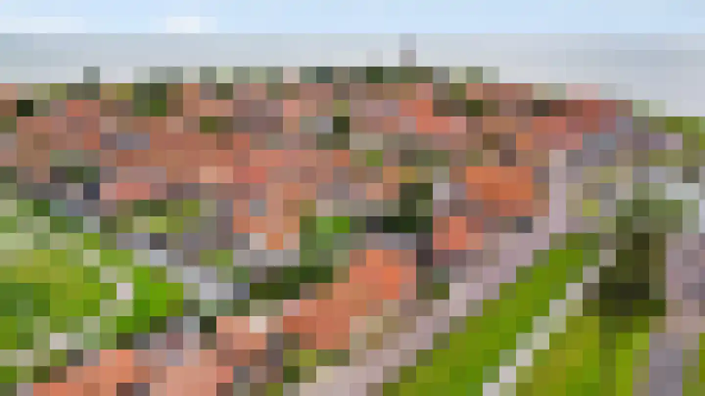 't Oost 22 Hindeloopen thumbnail 41