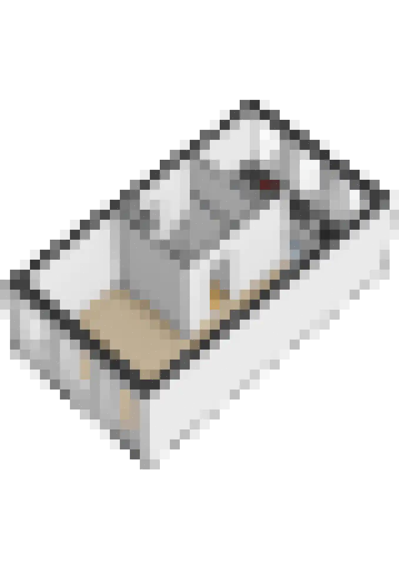't Oost 22 Hindeloopen thumbnail 43