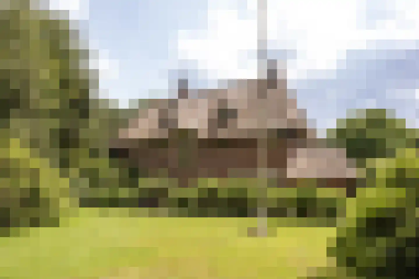 't Oost 56 Oosterwolde foto 2
