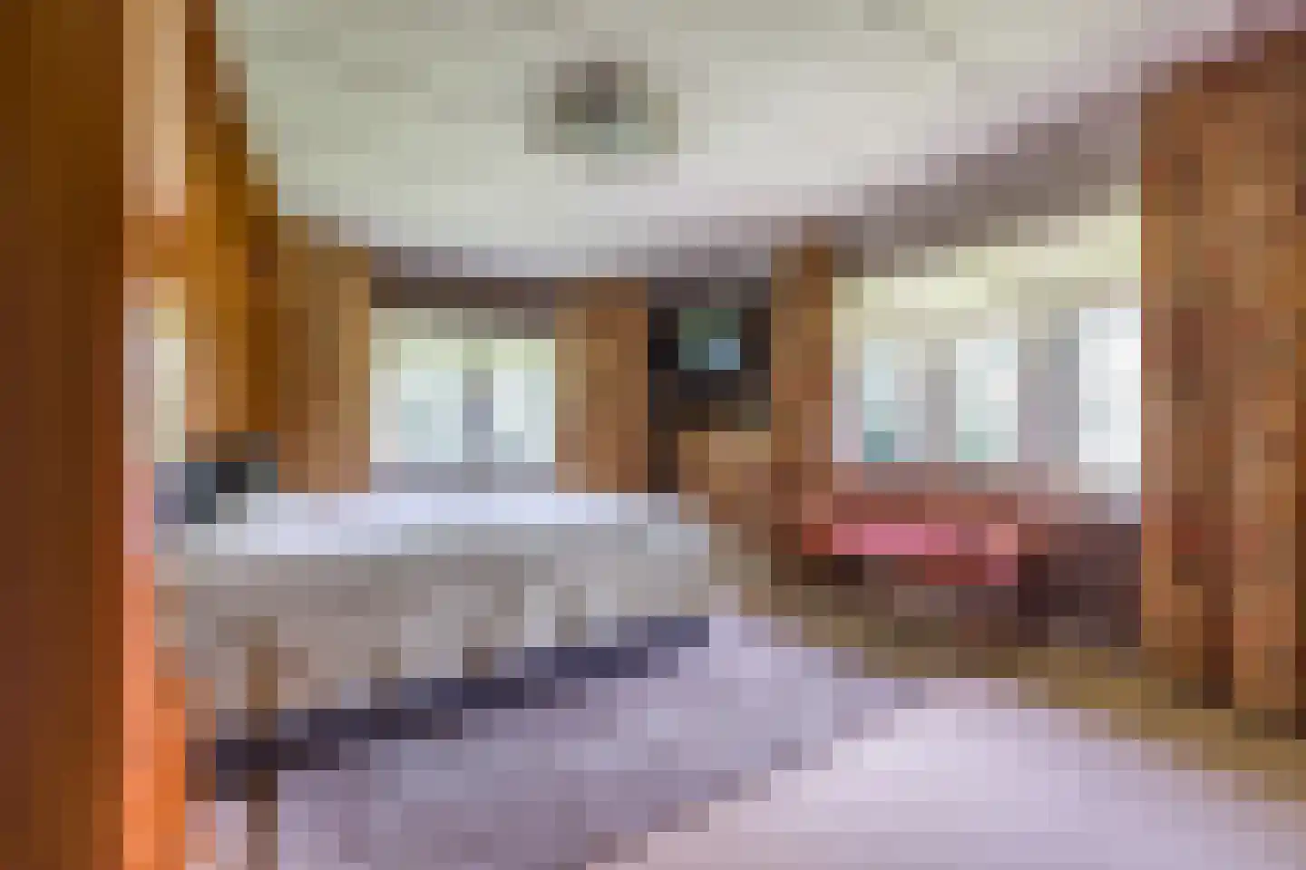 't Oost 56 Oosterwolde thumbnail 38