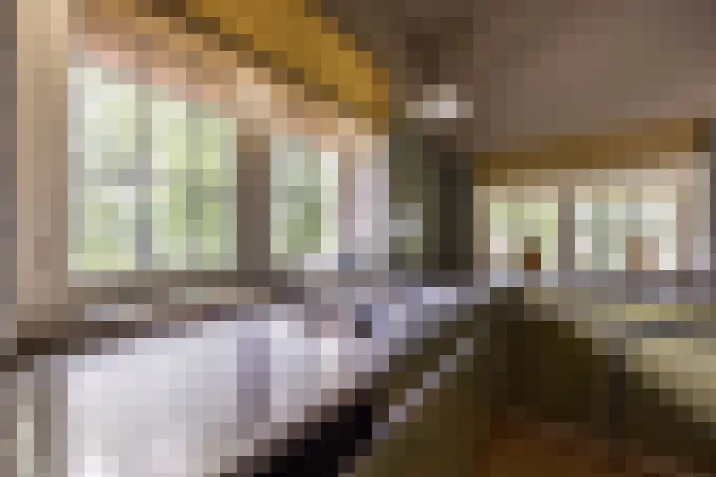 't Oost 56 Oosterwolde thumbnail 45
