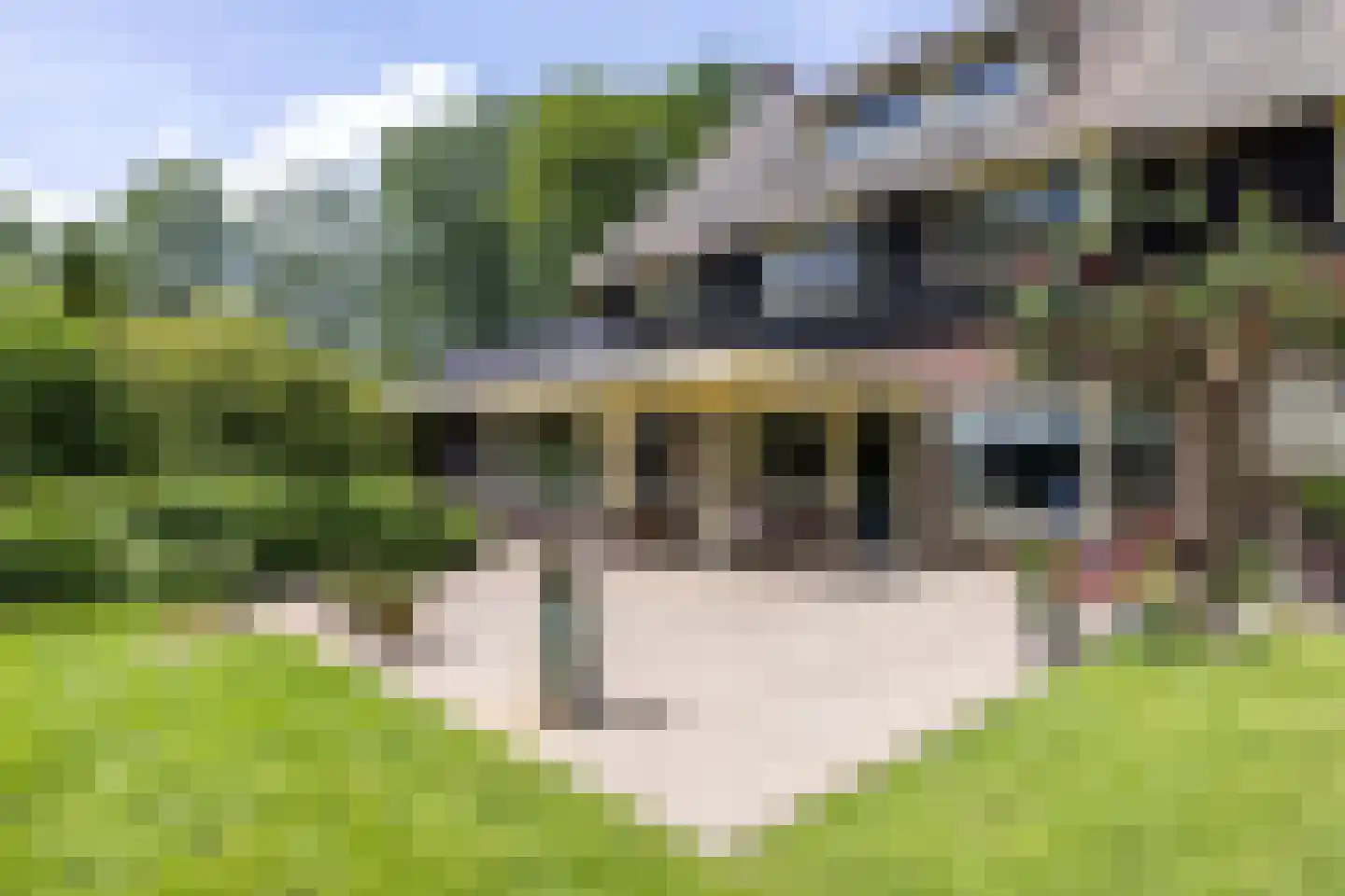 't Oost 56 Oosterwolde thumbnail 48