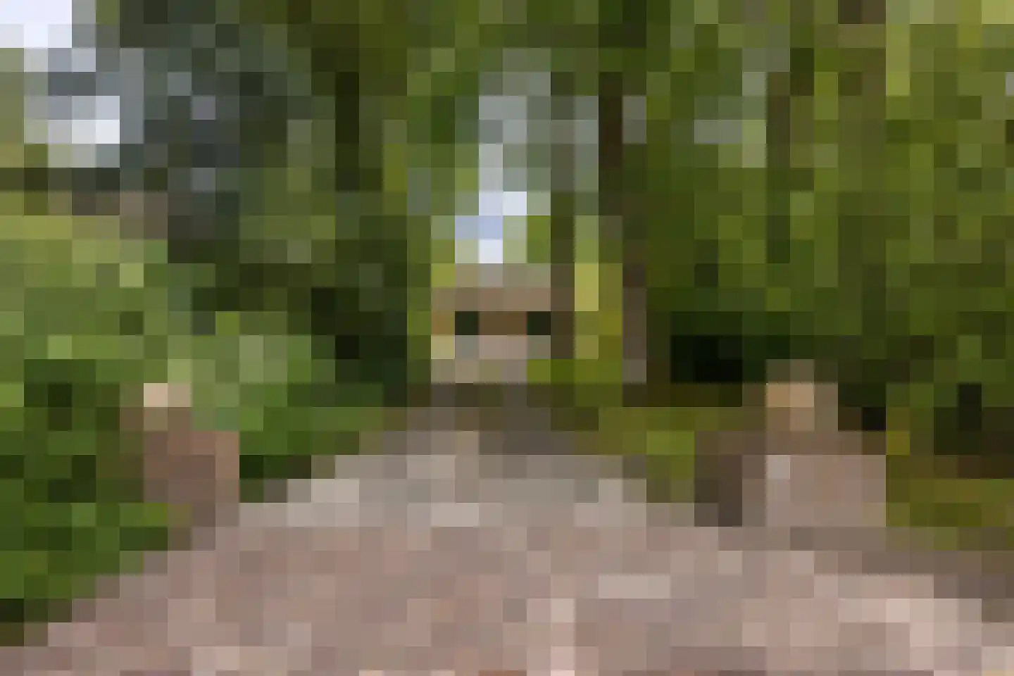 't Oost 56 Oosterwolde thumbnail 5
