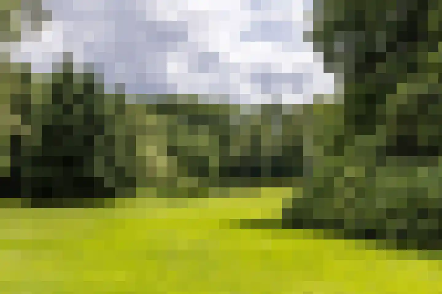 't Oost 56 Oosterwolde thumbnail 50