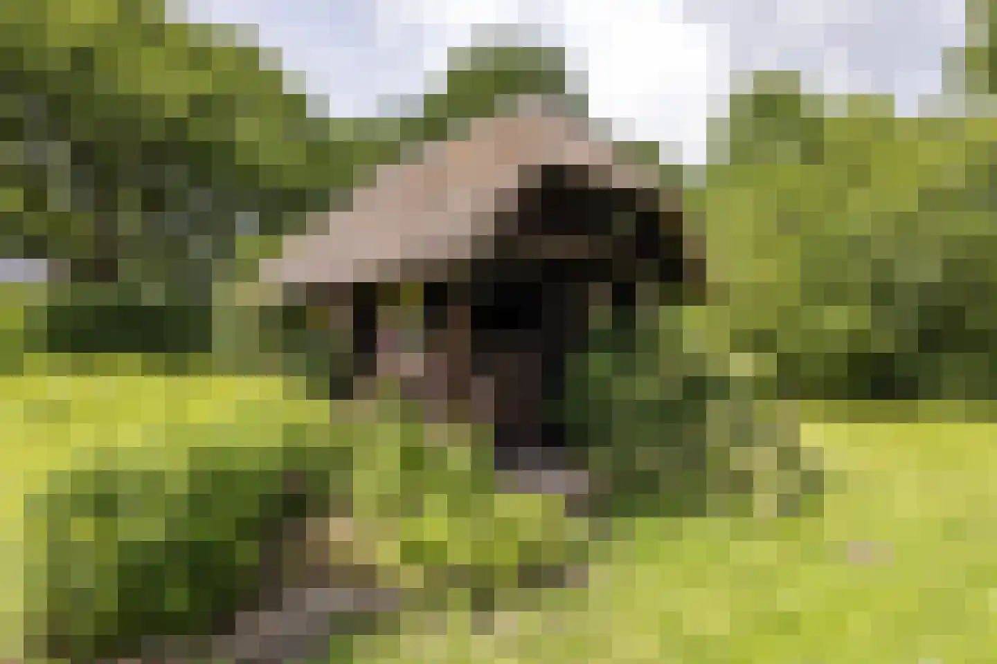 't Oost 56 Oosterwolde thumbnail 52
