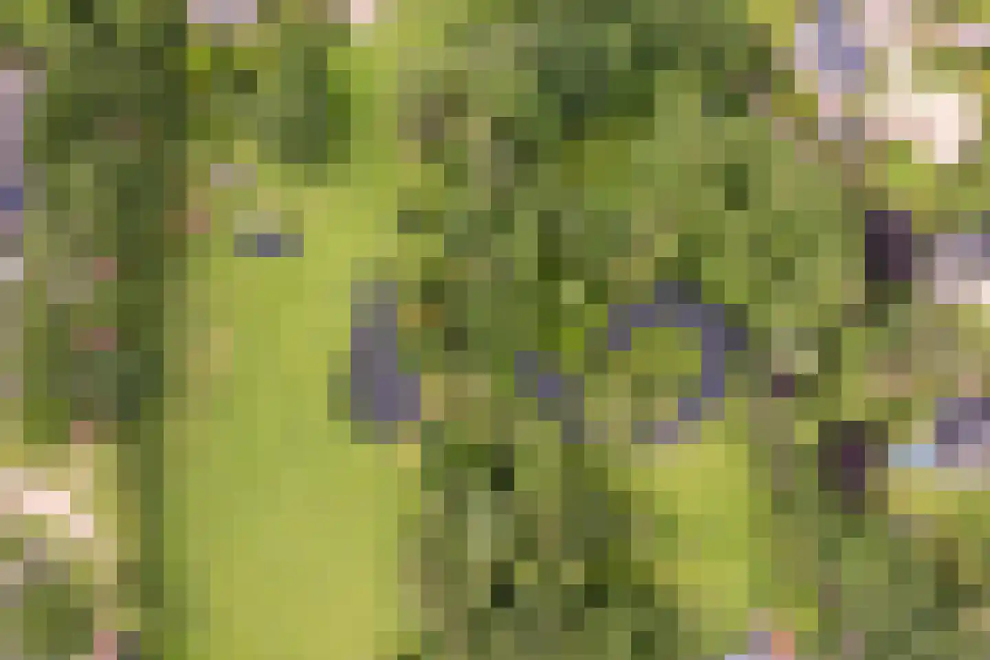 't Oost 56 Oosterwolde thumbnail 54