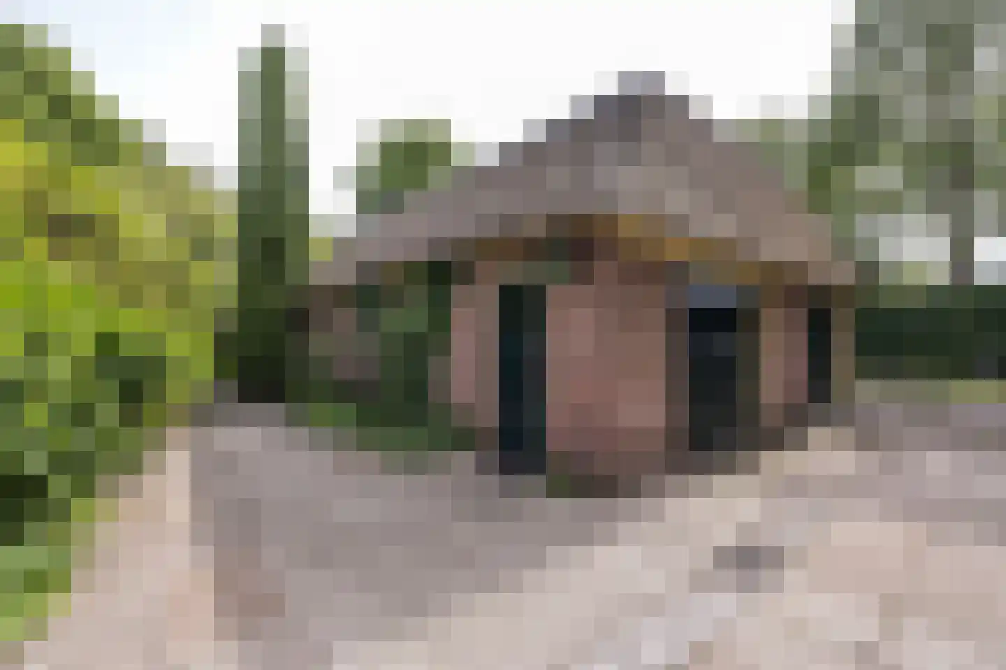 't Oost 56 Oosterwolde thumbnail 54