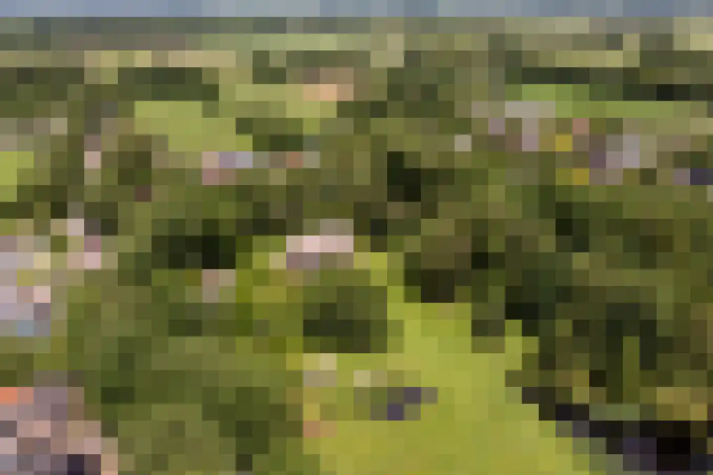 't Oost 56 Oosterwolde thumbnail 55