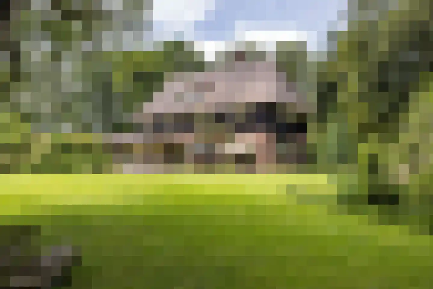't Oost 56 Oosterwolde thumbnail 56