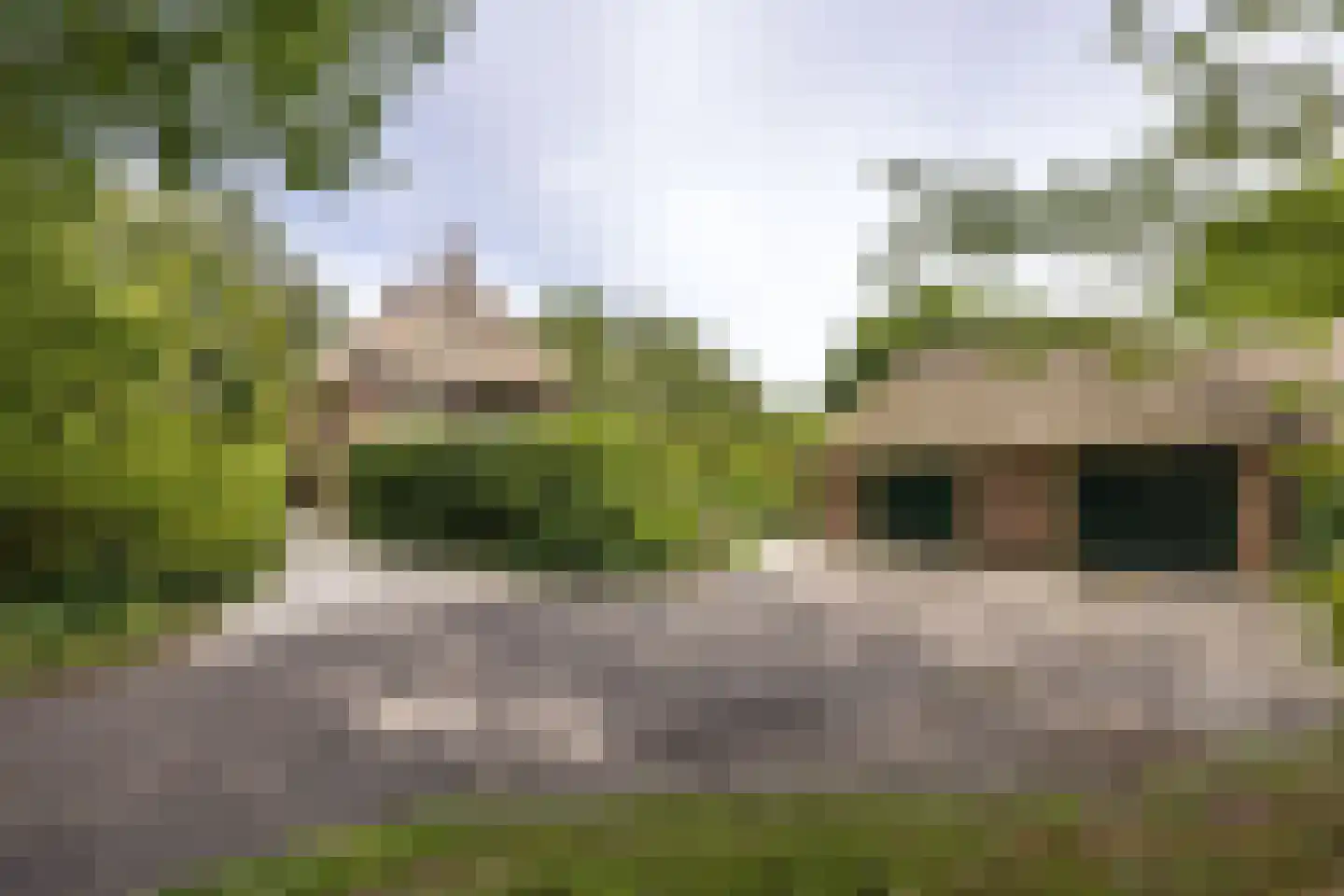 't Oost 56 Oosterwolde thumbnail 6