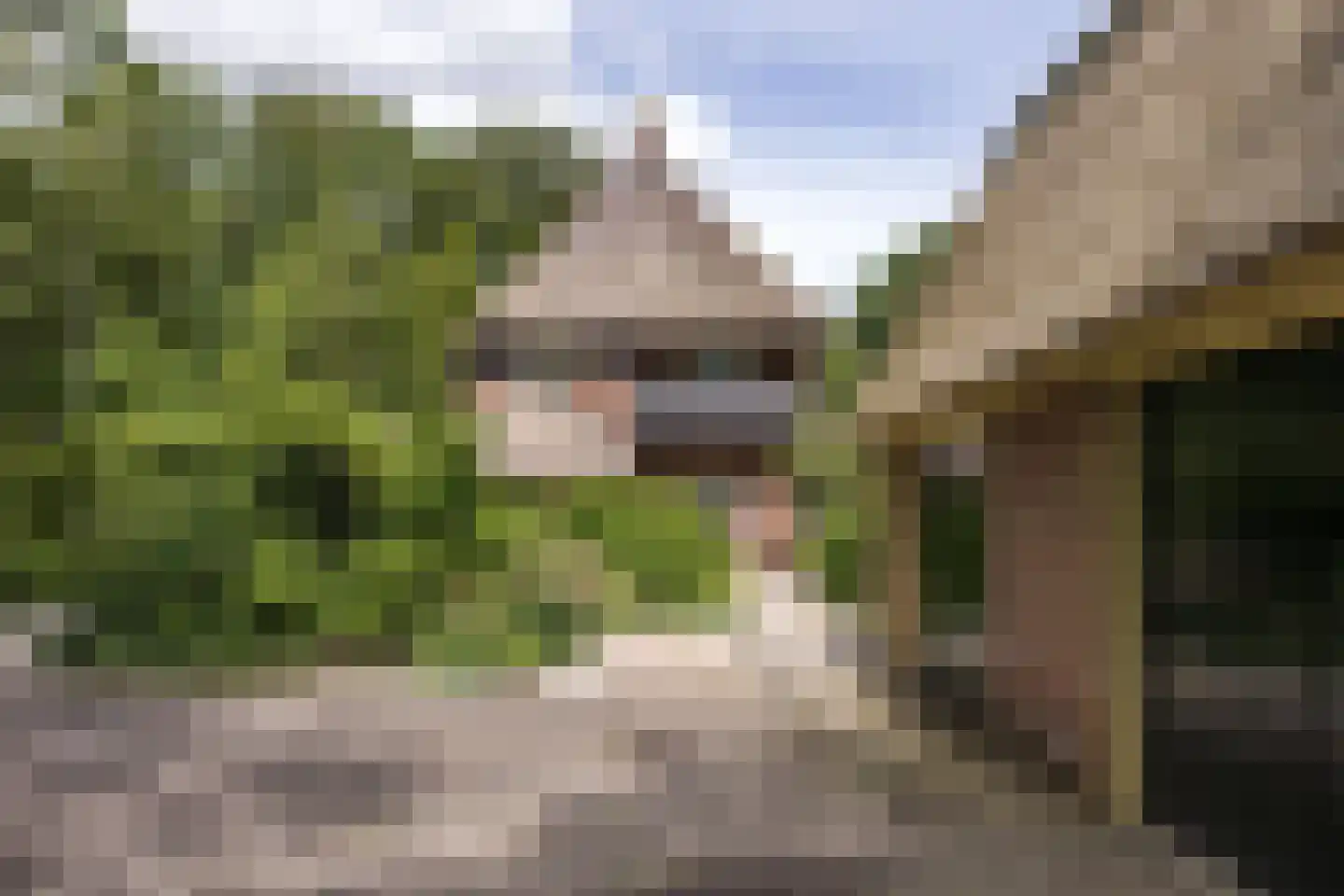 't Oost 56 Oosterwolde thumbnail 7